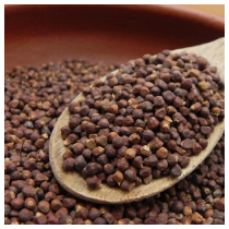 GRAINS OF PARADISE SEED EXTRACT